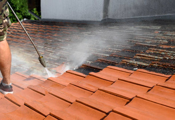 Best Best Pressure Washing Companies  in Gravette, AR