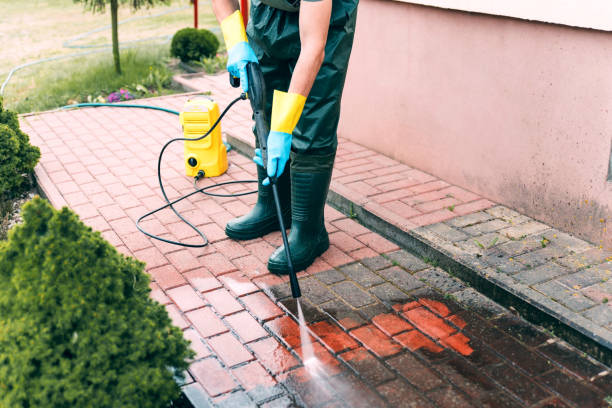 Best Pressure Washing Driveway  in Gravette, AR