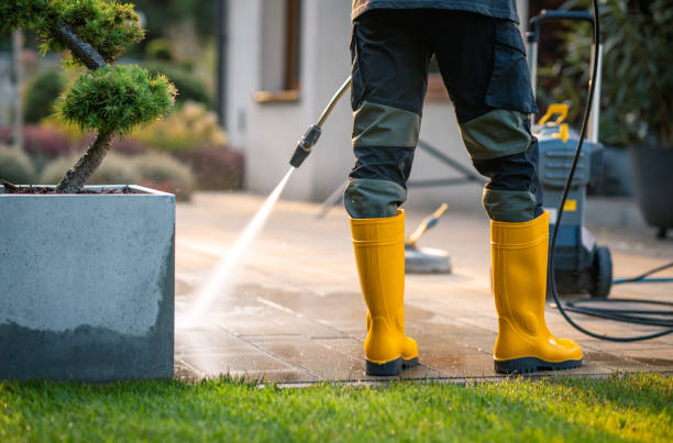 Best Pressure Washing Near Me  in Gravette, AR